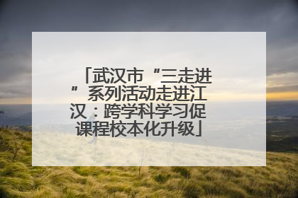 武汉市“三走进”系列活动走进江汉：跨学科学习促课程校本化升级