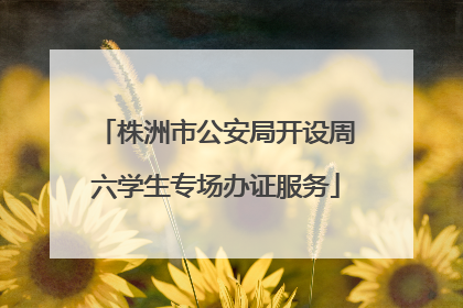 株洲市公安局开设周六学生专场办证服务