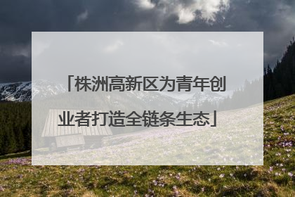 株洲高新区为青年创业者打造全链条生态