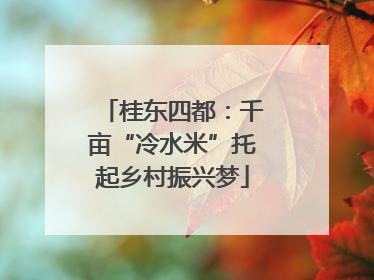 桂东四都：千亩“冷水米”托起乡村振兴梦