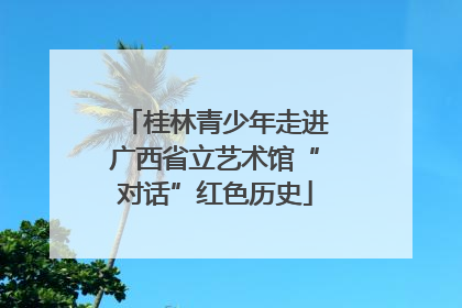 桂林青少年走进广西省立艺术馆“对话”红色历史