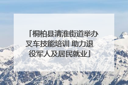 桐柏县清淮街道举办叉车技能培训 助力退役军人及居民就业