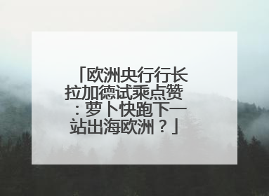 欧洲央行行长拉加德试乘点赞：萝卜快跑下一站出海欧洲？