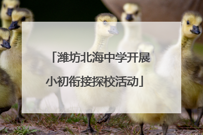 潍坊北海中学开展小初衔接探校活动