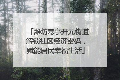 潍坊寒亭开元街道解锁社区经济密码，赋能居民幸福生活