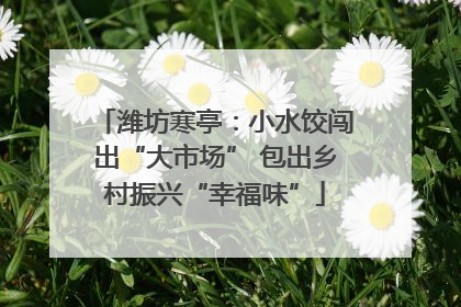 潍坊寒亭：小水饺闯出“大市场” 包出乡村振兴“幸福味”