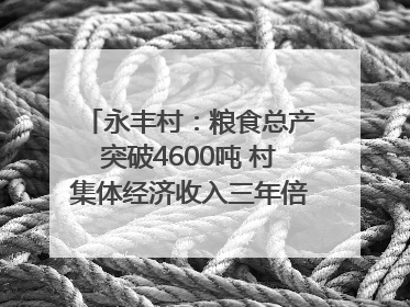 永丰村：粮食总产突破4600吨 村集体经济收入三年倍增｜牵挂的村