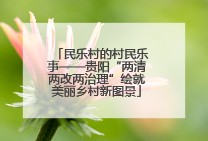 民乐村的村民乐事——贵阳“两清两改两治理”绘就美丽乡村新图景