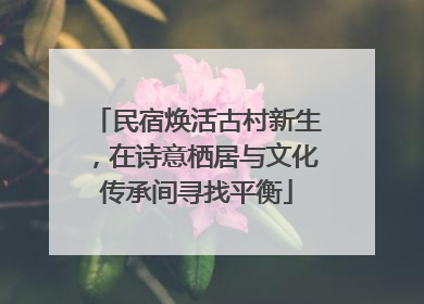 民宿焕活古村新生，在诗意栖居与文化传承间寻找平衡
