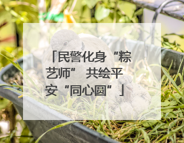 民警化身“粽艺师” 共绘平安“同心圆”