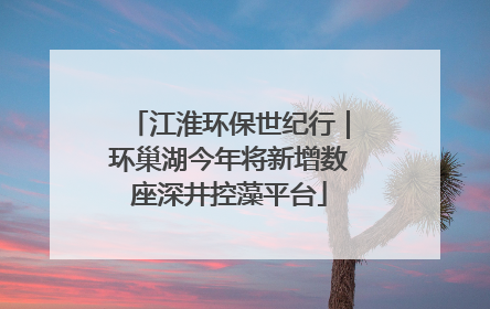 江淮环保世纪行｜环巢湖今年将新增数座深井控藻平台