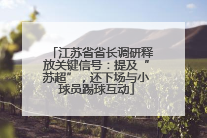 江苏省省长调研释放关键信号：提及“苏超”，还下场与小球员踢球互动