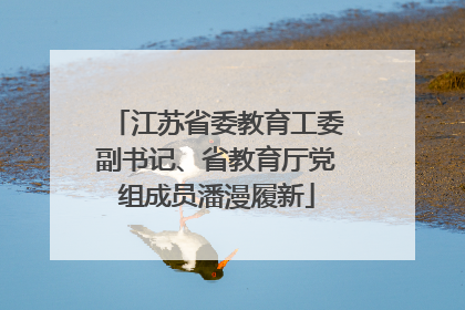 江苏省委教育工委副书记、省教育厅党组成员潘漫履新