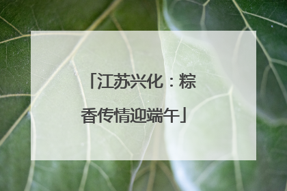 江苏兴化：粽香传情迎端午