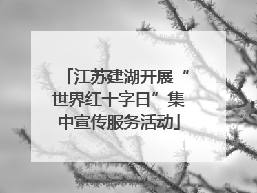 江苏建湖开展“世界红十字日”集中宣传服务活动