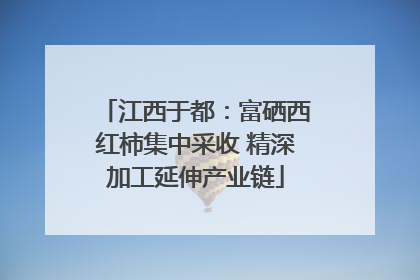 江西于都：富硒西红柿集中采收 精深加工延伸产业链