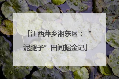 江西萍乡湘东区：“泥腿子”田间掘金记
