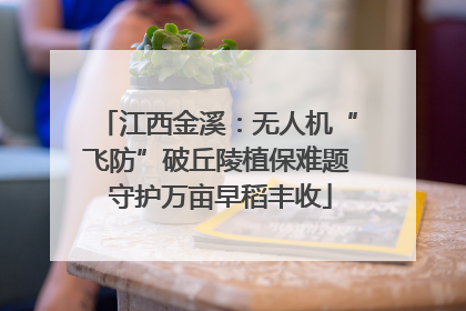 江西金溪：无人机“飞防”破丘陵植保难题 守护万亩早稻丰收