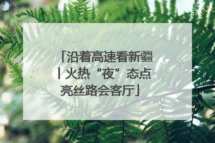 沿着高速看新疆丨火热“夜”态点亮丝路会客厅