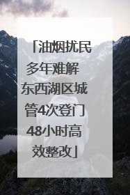 油烟扰民多年难解 东西湖区城管4次登门48小时高效整改