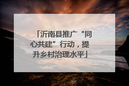 沂南县推广“同心共建”行动，提升乡村治理水平