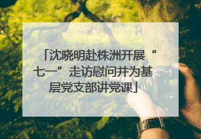 沈晓明赴株洲开展“七一”走访慰问并为基层党支部讲党课