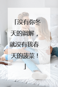 没有你冬天的调解，就没有我春天的菠菜！