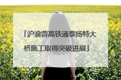 沪渝蓉高铁通泰扬特大桥施工取得突破进展
