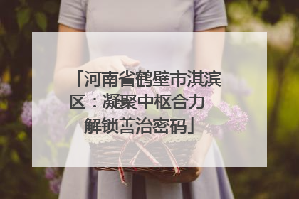 河南省鹤壁市淇滨区：凝聚中枢合力 解锁善治密码