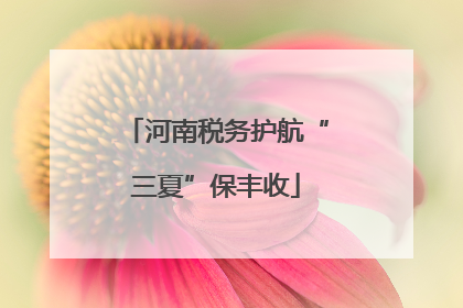 河南税务护航“三夏”保丰收
