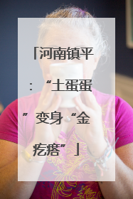 河南镇平：“土蛋蛋”变身“金疙瘩”
