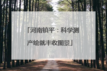 河南镇平：科学测产绘就丰收图景