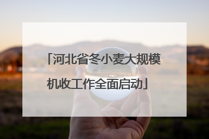 河北省冬小麦大规模机收工作全面启动