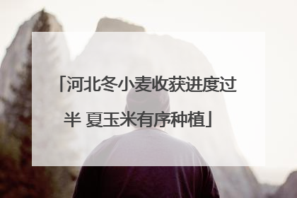 河北冬小麦收获进度过半 夏玉米有序种植