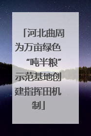 河北曲周为万亩绿色“吨半粮”示范基地创建指挥田机制