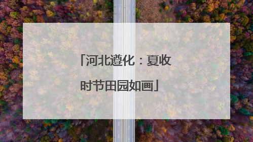 河北遵化：夏收时节田园如画