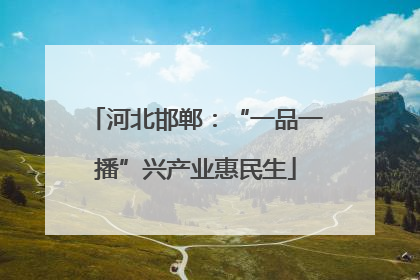 河北邯郸：“一品一播”兴产业惠民生