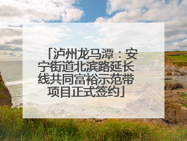 泸州龙马潭：安宁街道北滨路延长线共同富裕示范带项目正式签约