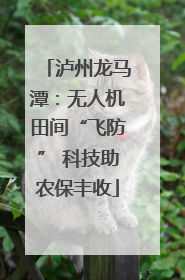泸州龙马潭：无人机田间“飞防” 科技助农保丰收