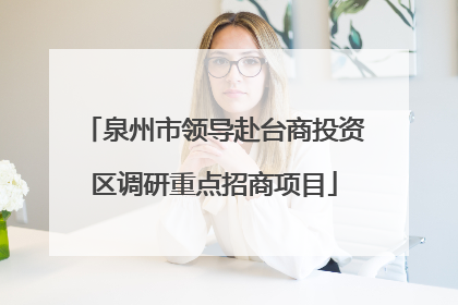 泉州市领导赴台商投资区调研重点招商项目