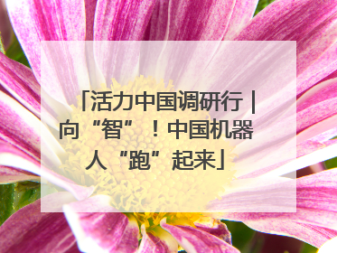 活力中国调研行｜向“智”！中国机器人“跑”起来