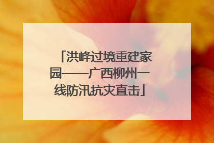 洪峰过境重建家园——广西柳州一线防汛抗灾直击