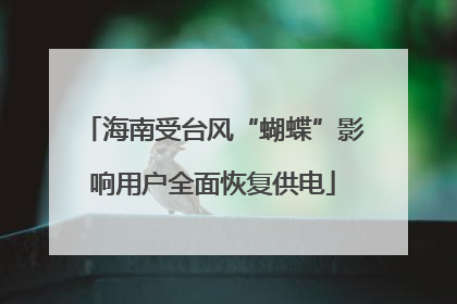 海南受台风“蝴蝶”影响用户全面恢复供电