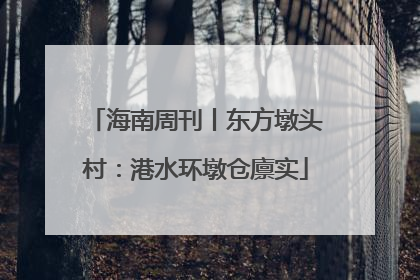海南周刊丨东方墩头村：港水环墩仓廪实