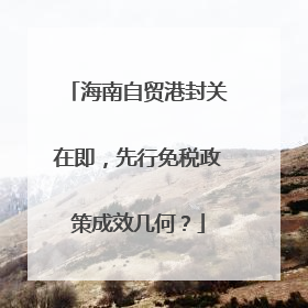 海南自贸港封关在即，先行免税政策成效几何？