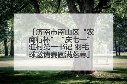 济南市南山区“农商行杯”“庆七一”驻村第一书记 羽毛球邀请赛圆满落幕