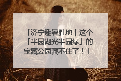 济宁避暑胜地｜这个「半园湖光半园绿」的宝藏公园藏不住了！