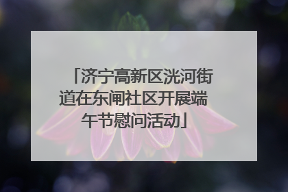 济宁高新区洸河街道在东闸社区开展端午节慰问活动