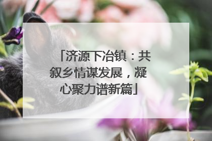 济源下冶镇：共叙乡情谋发展，凝心聚力谱新篇