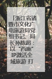 浙江省诸暨市文化广电旅游局党组书记、局长孙陈超：以“西施”IP激活全域旅游 打造县域文旅融合新标杆｜第七届全国县域旅游研究成果发布系列活动